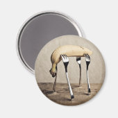 バナナ マグネット (正面/裏面)