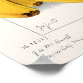 バナナ(ムサ)フルーツウォーター絵画カラー ポスター (角)