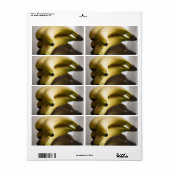 バナナ ラベル (フルシート)