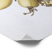 バナナ， 1816 ポスター (角)