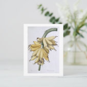 バナナ、1816 ポストカード (スタンド正面)