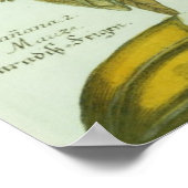 バナナ、J. Weinmann's Phytanthoza Iconographiより ポスター (角)