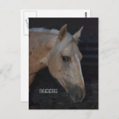 バナーという名の馬のパロミノの馬のポストカード ポストカード (正面/裏面)