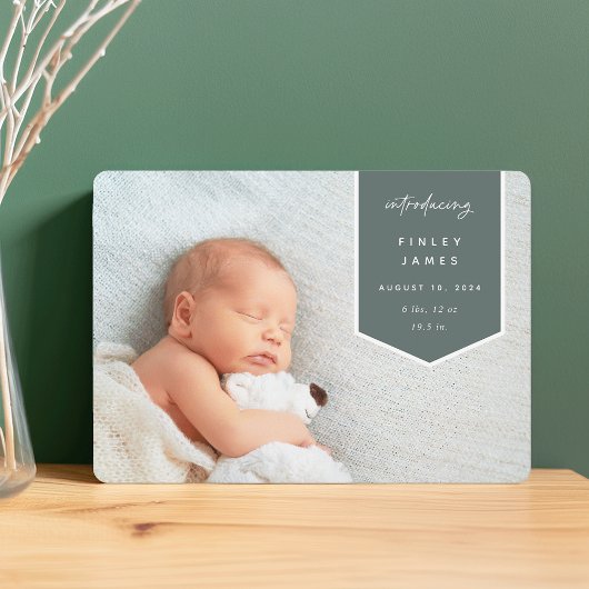 バナーオーバーレイ |横型フォト誕生 案内状