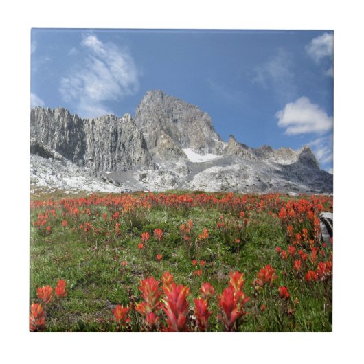 バナーピークワイルドフラワーズ – Ansel Adams Wilderness タイル (正面)