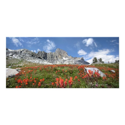 バナーピークワイルドフラワーズ – Ansel Adams Wilderness フォトプリント (正面)