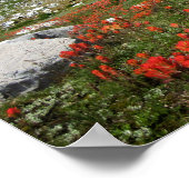 バナーピークワイルドフラワーズ – Ansel Adams Wilderness ポスター (角)