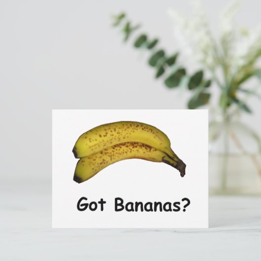 バナ得ス ポストカード (スタンド正面)