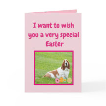 『バニおもしろいースーツ』のバセット・ハウンド付きイースターカード