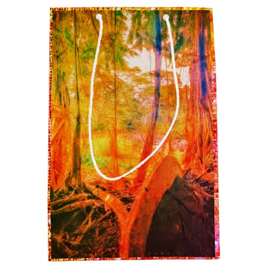 バニアン川/スターズイブで歩く ミディアムペーパーバッグ (正面)