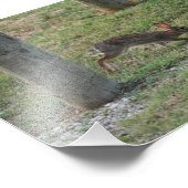 バニカジュアルー フォトプリント            (角)