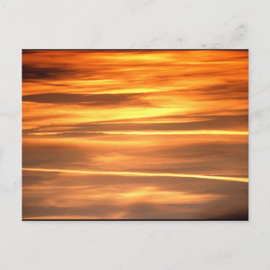 バニッシュ金ゴールド ポストカード (正面)