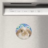 バニファンキーー マグネット (インサイチュ (食洗機))