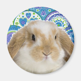 バニファンキーー マグネット