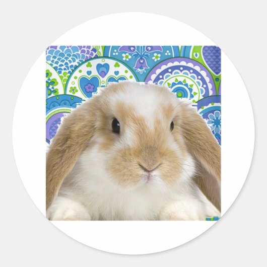 バニファンキーー ラウンドシール (正面)