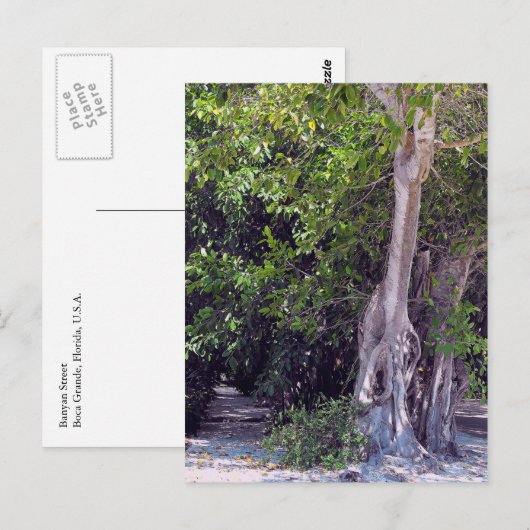 バニヤン通り ポストカード (正面/裏面)