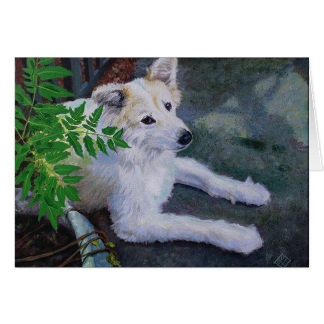 バニラの実 (正面横)