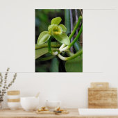 バニラオーキッド ポスター (キッチン)