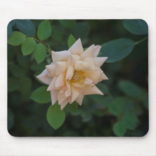 バニラバラ マウスパッド (正面)