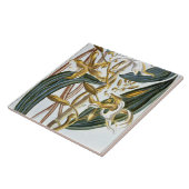 バニラポッド、「コレクションPrecieuseからのプレート65、 タイル (側面)