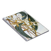 バニラポッド、「コレクションPrecieuseからのプレート65、 ノートブック (右側)