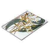 バニラポッド、「コレクションPrecieuseからのプレート65、 ノートブック (左側)