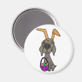 バニーおもしろい耳の可愛いワイマラー マグネット (正面/裏面)