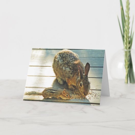 バニーおよびシマリスの共有 カード (正面)