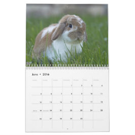 バニーかわいいバニーウサギの2016年- 12か月 カレンダー