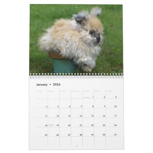 バニーかわいいバニーウサギの2018年- 12か月 カレンダー (1月 2026)