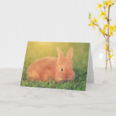 バニーが挨拶する カード (黄色い花)