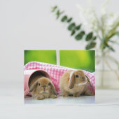 バニーが私を愛している ポストカード (スタンド正面)