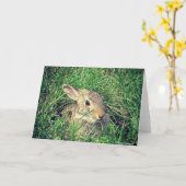 バニーすべての行事 カード (黄色い花)