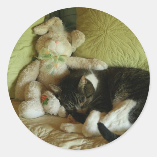 バニーとキティの友人のステッカー ラウンドシール (正面)