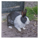 バニーのウサギが密なセラミックタイルを上げる タイル (正面)