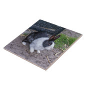 バニーのウサギが密なセラミックタイルを上げる タイル (側面)