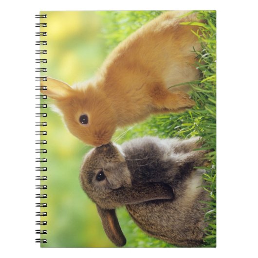 バニーのキス ノートブック (正面)