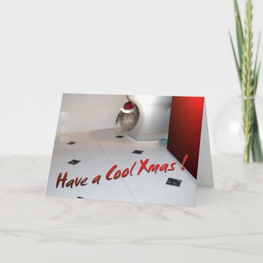 バニーのクリスマスカード4 シーズンカード (正面)