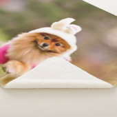 バニーのスーツを着た子犬 シェルパブランケット (3/4)