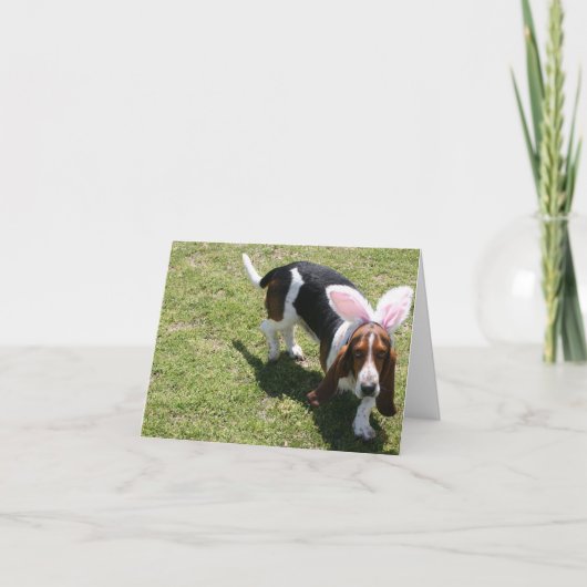 バニーのバセット シーズンカード (正面)