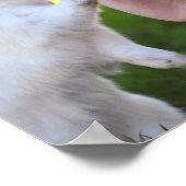 バニーのポスターを外す ポスター (角)