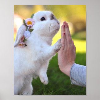 バニーのポスターを外す ポスター