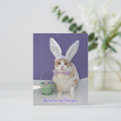 バニーの中には君を愛するものもいる。 ポストカード (スタンド正面)