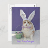 バニーの中には君を愛するものもいる。 ポストカード (正面/裏面)