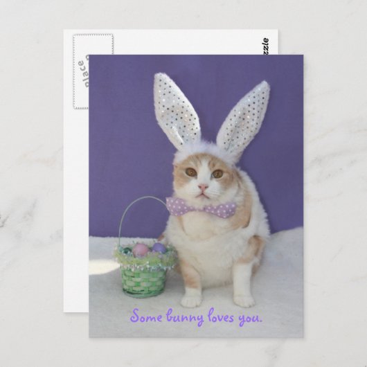 バニーの中には君を愛するものもいる。 ポストカード (正面/裏面)