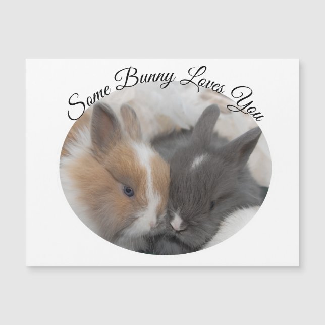 バニーの中には、あなたを愛するものもいる (正面)