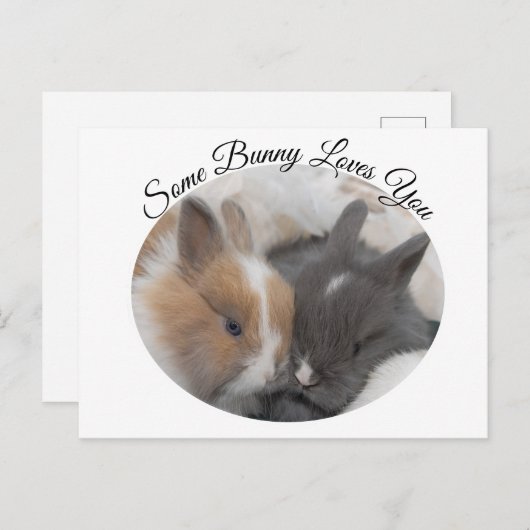 バニーの中には、あなたを愛するものもいる シーズンポストカード (正面/裏面)