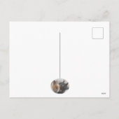 バニーの中には、あなたを愛するものもいる シーズンポストカード (裏面)