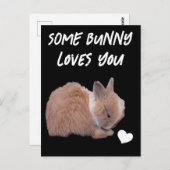 バニーの中には、あなたを愛するものもいる ポストカード (正面/裏面)