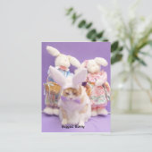 バニーの盗聴 ポストカード (スタンド正面)